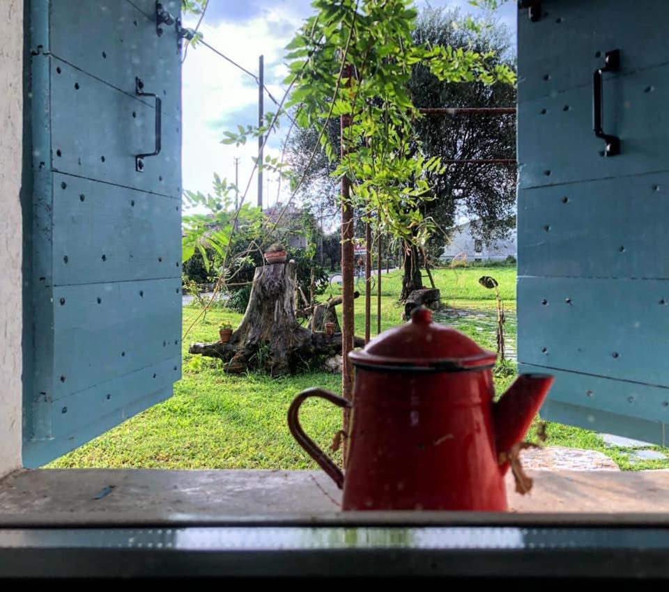 كانيفا B&B Carlonga المظهر الخارجي الصورة