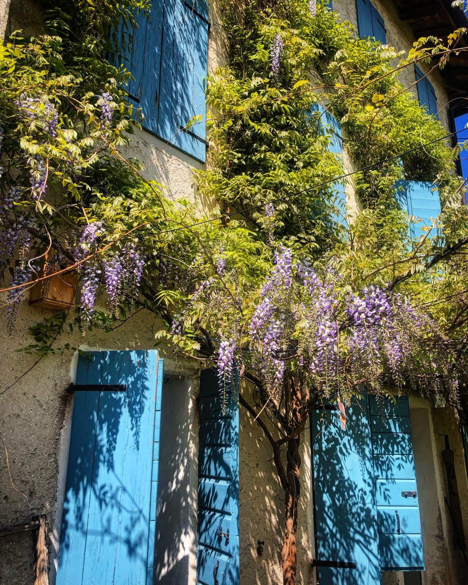 كانيفا B&B Carlonga المظهر الخارجي الصورة